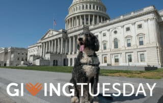 giving Tuesday Logo with a dog in front of the US Capitol in the background