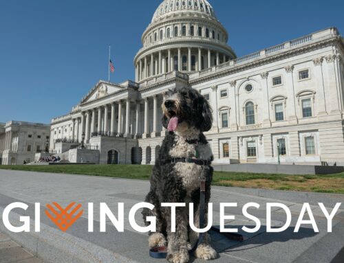 This Giving Tuesday, the Truth Needs a Watchdog