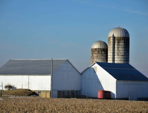 Trade War Ag Bailout