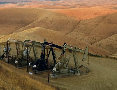 20,000 Acres of Public Land in New Mexico Leased for Oil & Gas Development Could Cost Taxpayers $110 Million in Lost Royalties