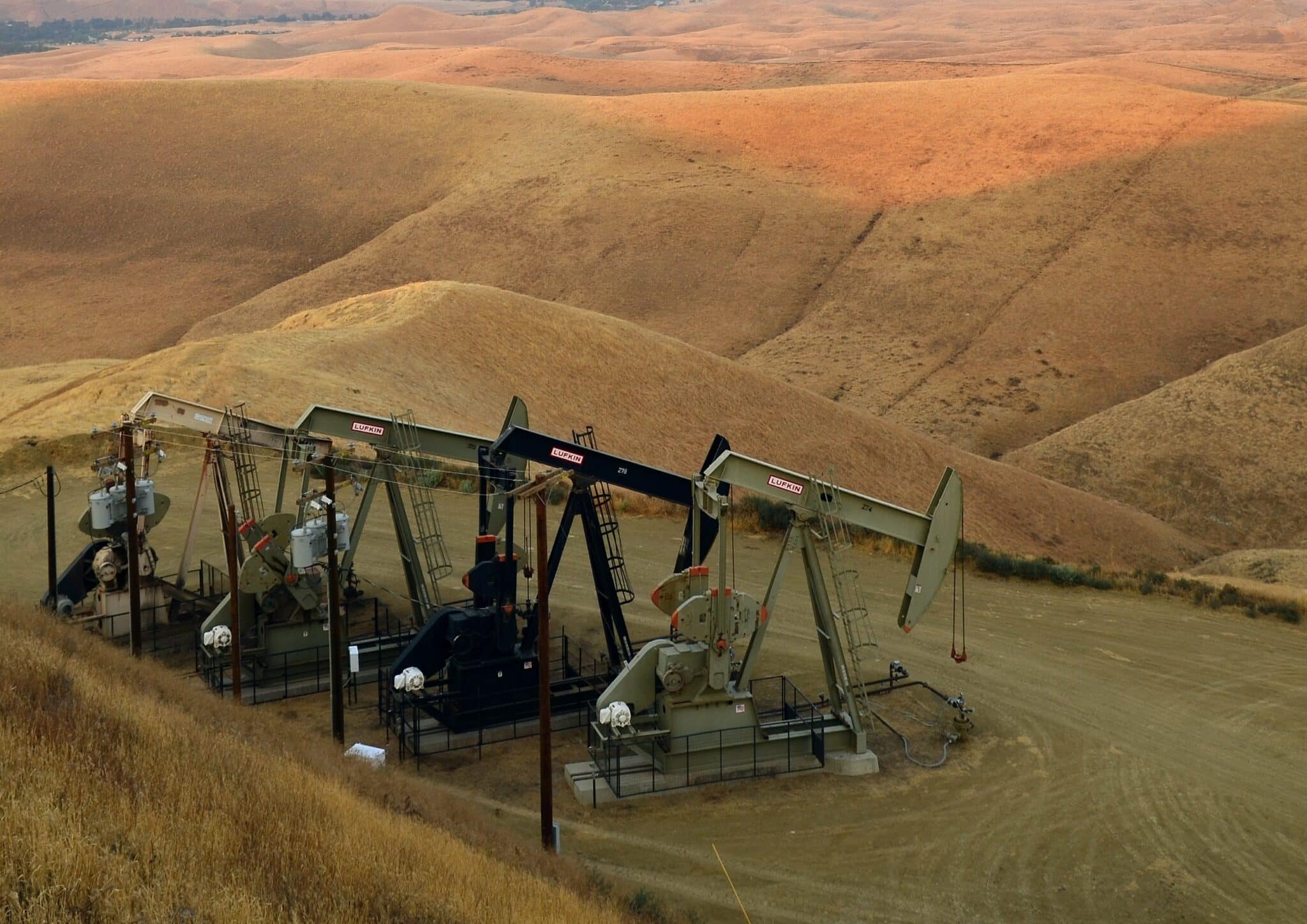 35622742790 81aefbb9e1 4k scaled