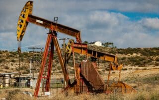 pexels ninobur 18905774