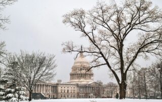 sebastian schuster 5K76RN8uC5s unsplash