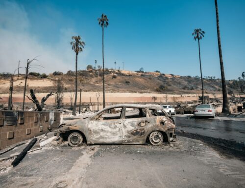 A Year After the Fire