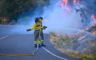Two Firefighters Facing a Huge Wall of Flames