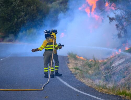 Congress Calls for Study on Wildland Fire Consolidation