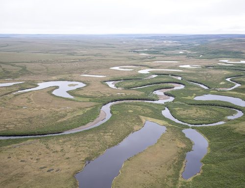 First Mandated NPR-A Lease Sale Held This Week