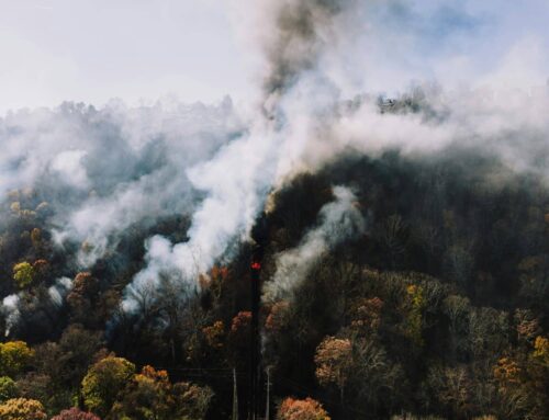 Wildfire Provisions in the House 2026 Farm Bill Forestry Title Draft