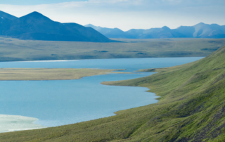 ANWR June 2026 Lease Featured