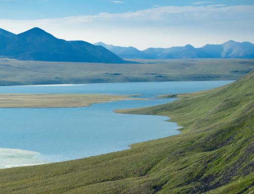 All Land Offered in First OBBBA-Mandated Arctic Refuge Oil and Gas Lease Sale Was Previously Offered