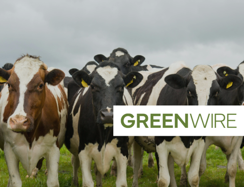 Manure biogas a clear winner in clean energy tax credit