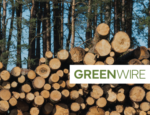 Forest Service seeks big increase for timber operations