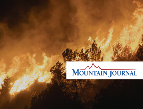 Wildfire Forecast Part 3: Where Wildfire Money Goes