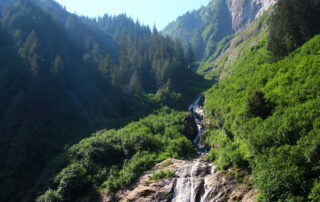 Tongass e1776100565439