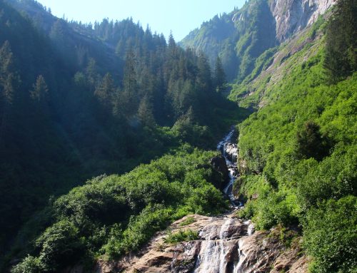 Roadless Areas in Our National Forests Save Billions in Taxpayer Costs