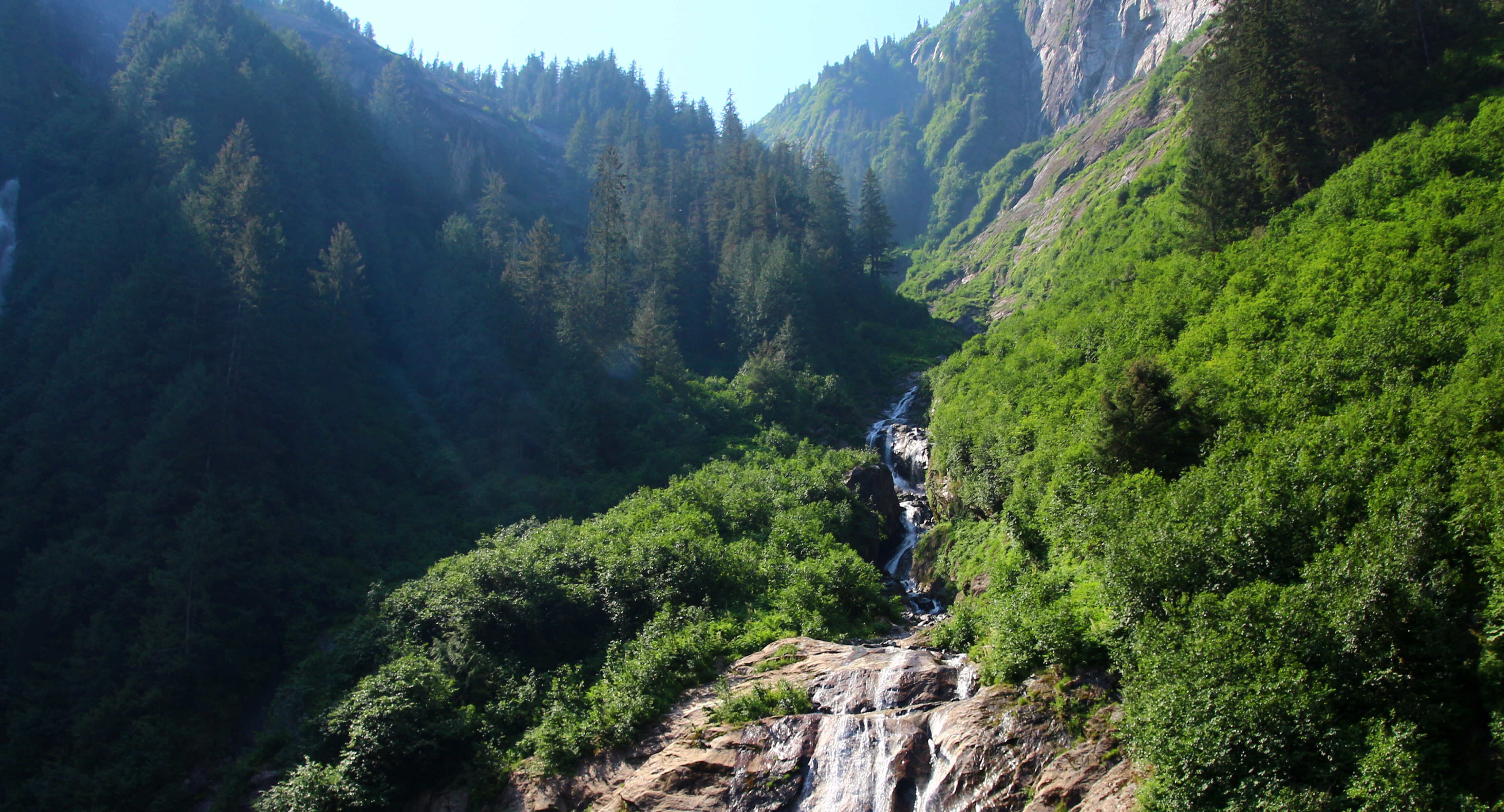 Tongass e1776100565439