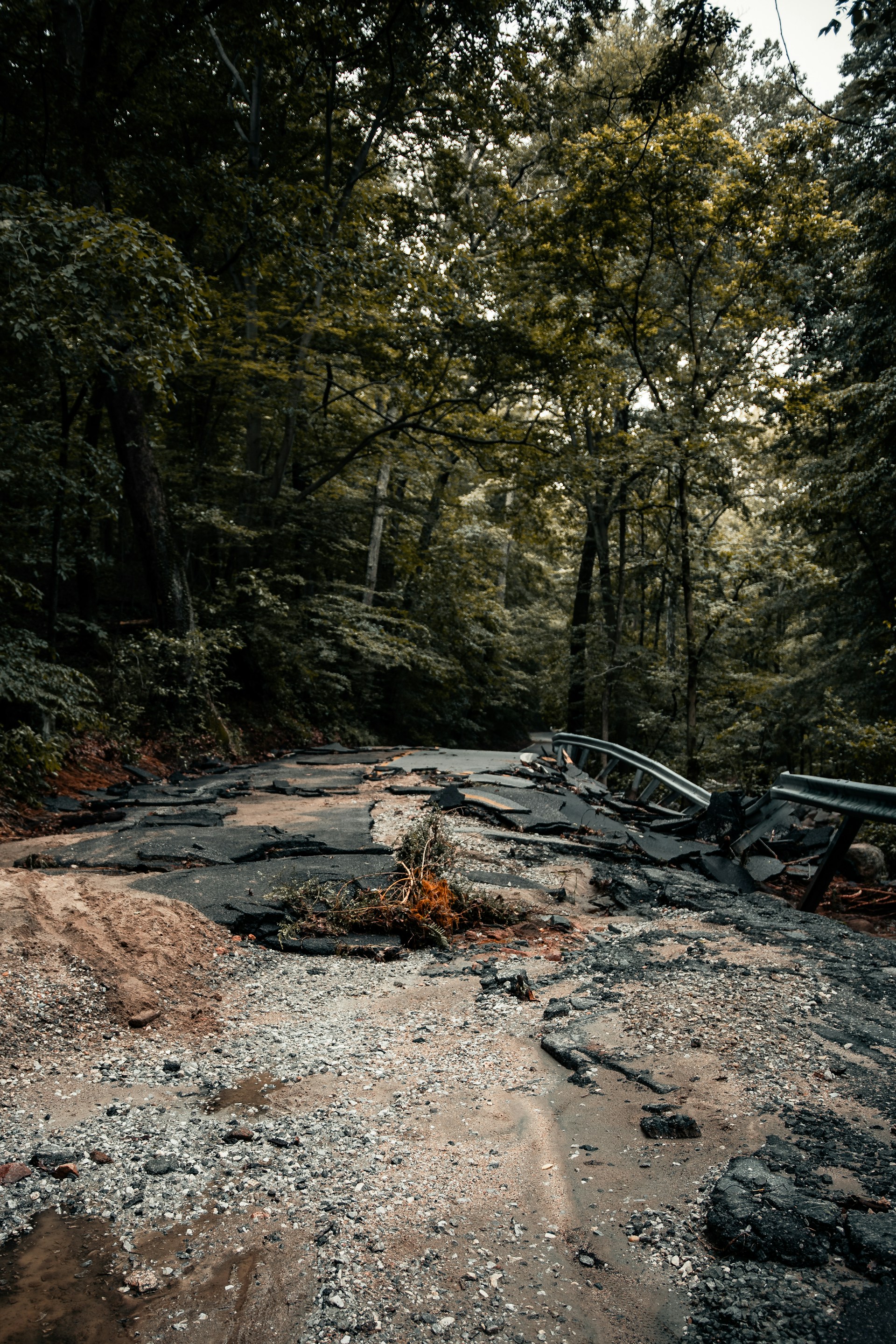 colin lloyd 5ogKXLAAxvo unsplash
