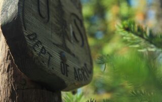 patrick hendry bKH9rsoI9Pw unsplash