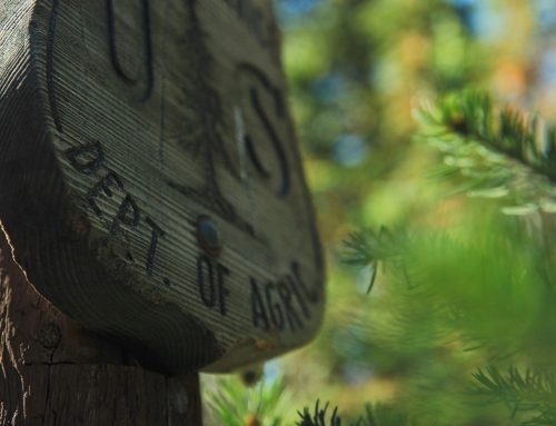 President Trump’s FY2027 Forest Service Budget Request