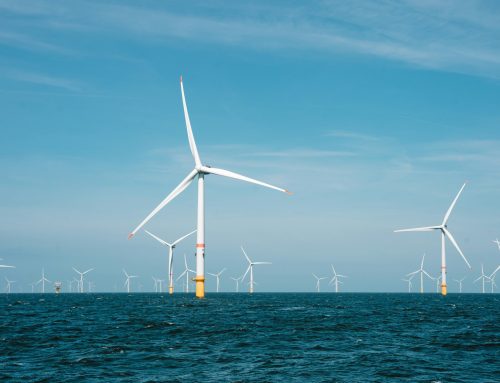 Dept. of Interior’s $1 Billion Wind Buyout Is Blowing Taxpayer Dollars Away