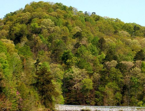 U.S. Forest Service Wildfire Spending Accounts