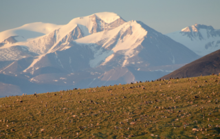 ANWR Featured