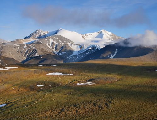 Unsurprisingly, Oil and Gas Lease Sale in the Arctic Refuge Yielded Abysmal Results