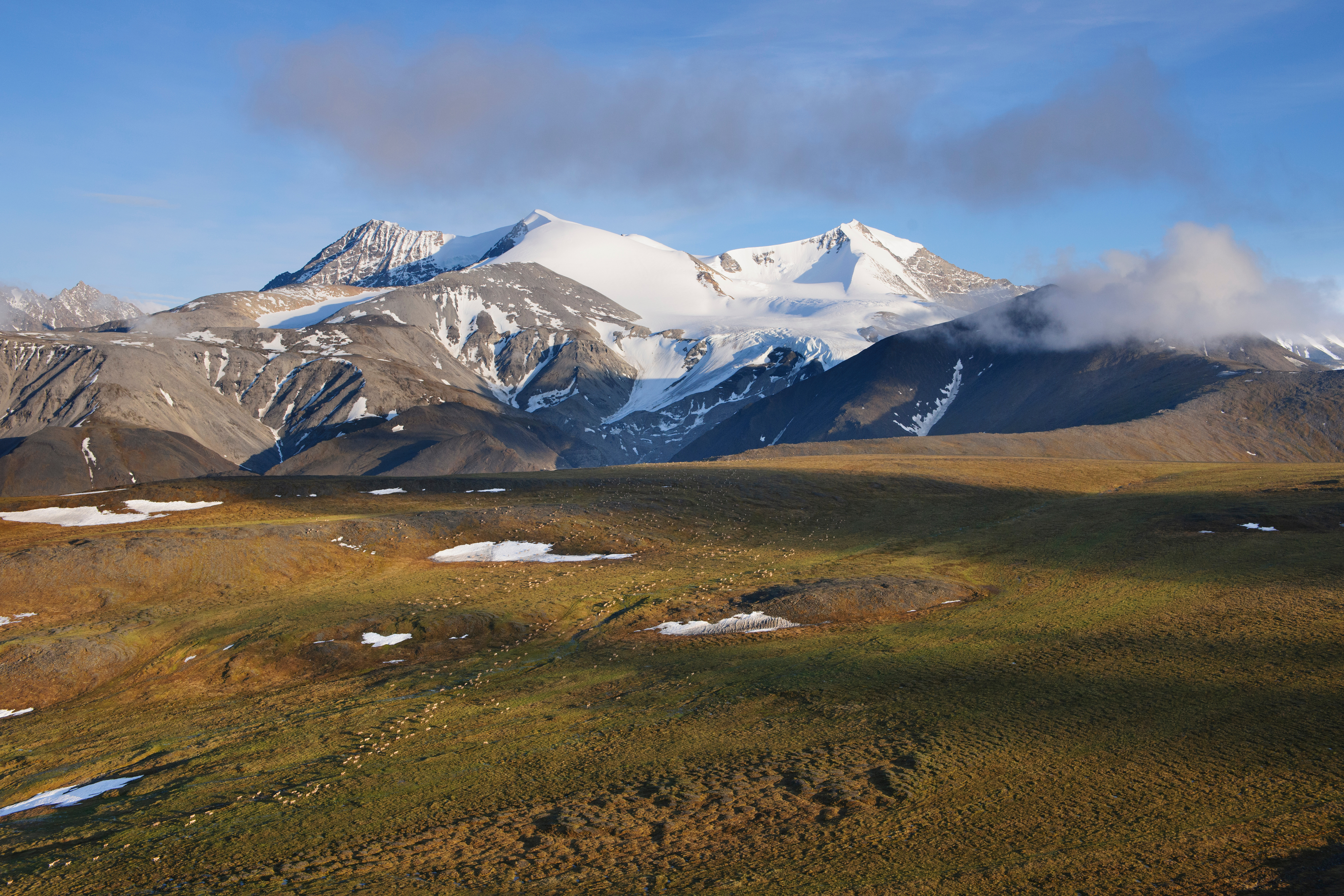 Copy of ArcticRefuge21