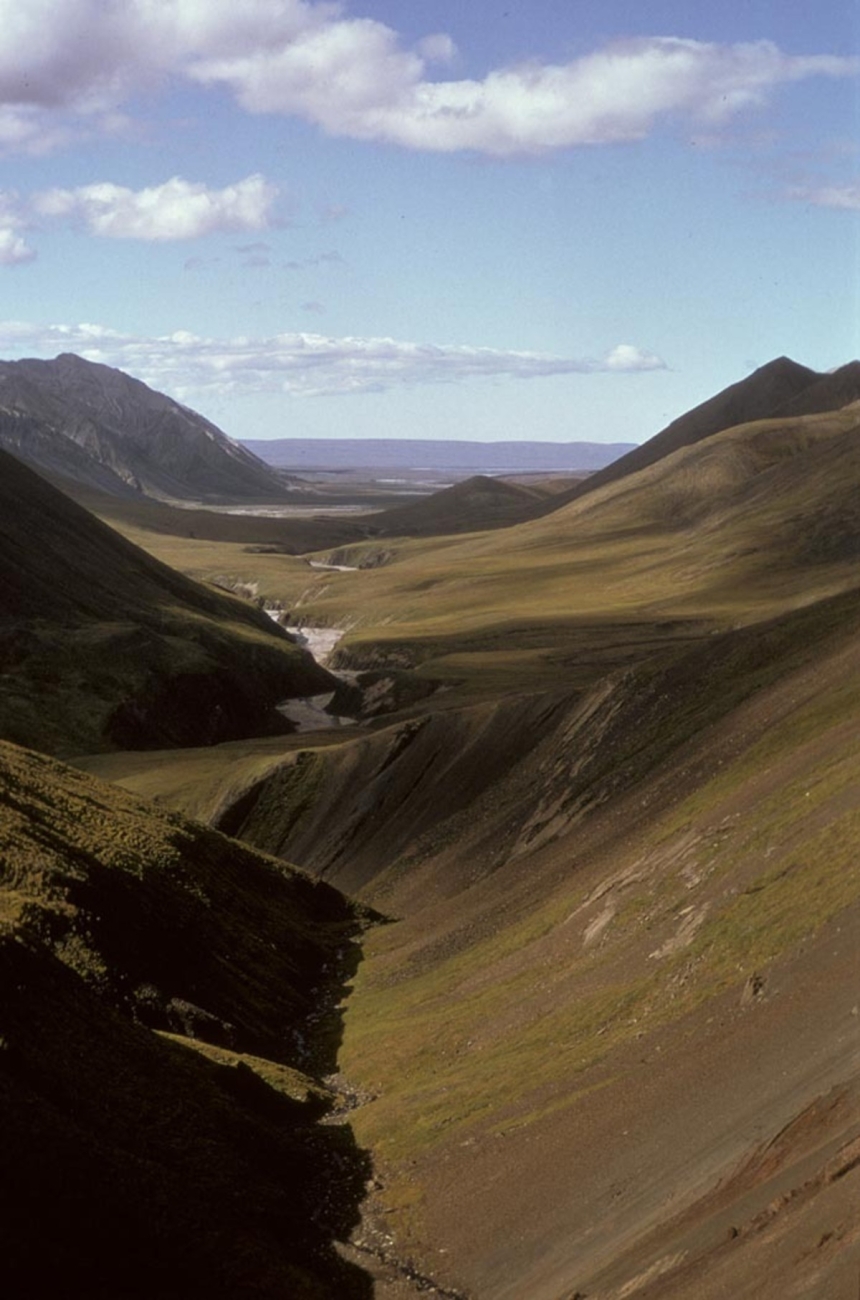 usfws arctic national wildlife refuge valley summer large