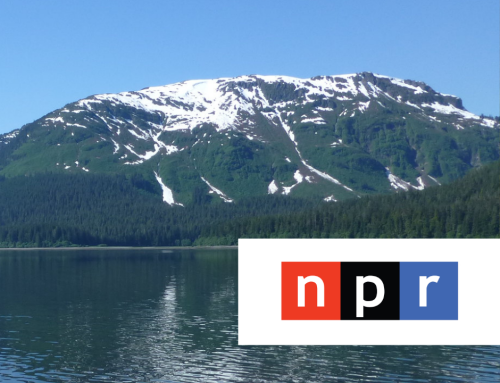 NPR: Trump administration moves to open untouched national forests to logging
