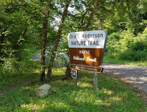 2,800 Acres in Ohio’s Wayne National Forest Leased for Oil and Gas