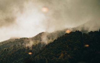 nina mercado FDa5QBSCldE unsplash