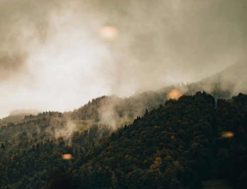 A Rainy Day Fund for the Fire Season
