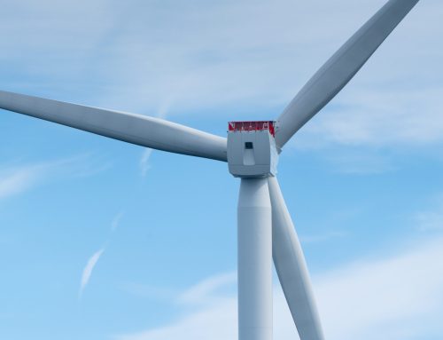 New Report Details Taxpayer Concerns with the $3.9 Billion Offshore Wind Lease Buyouts