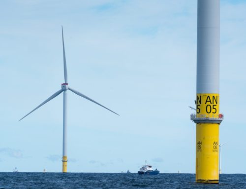 By the Numbers: Federal Offshore Wind Lease Buyouts