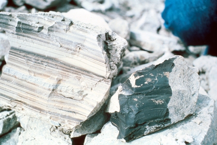 Oil Shale Specimen; via USGS