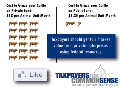 cost of grazing public vs private
